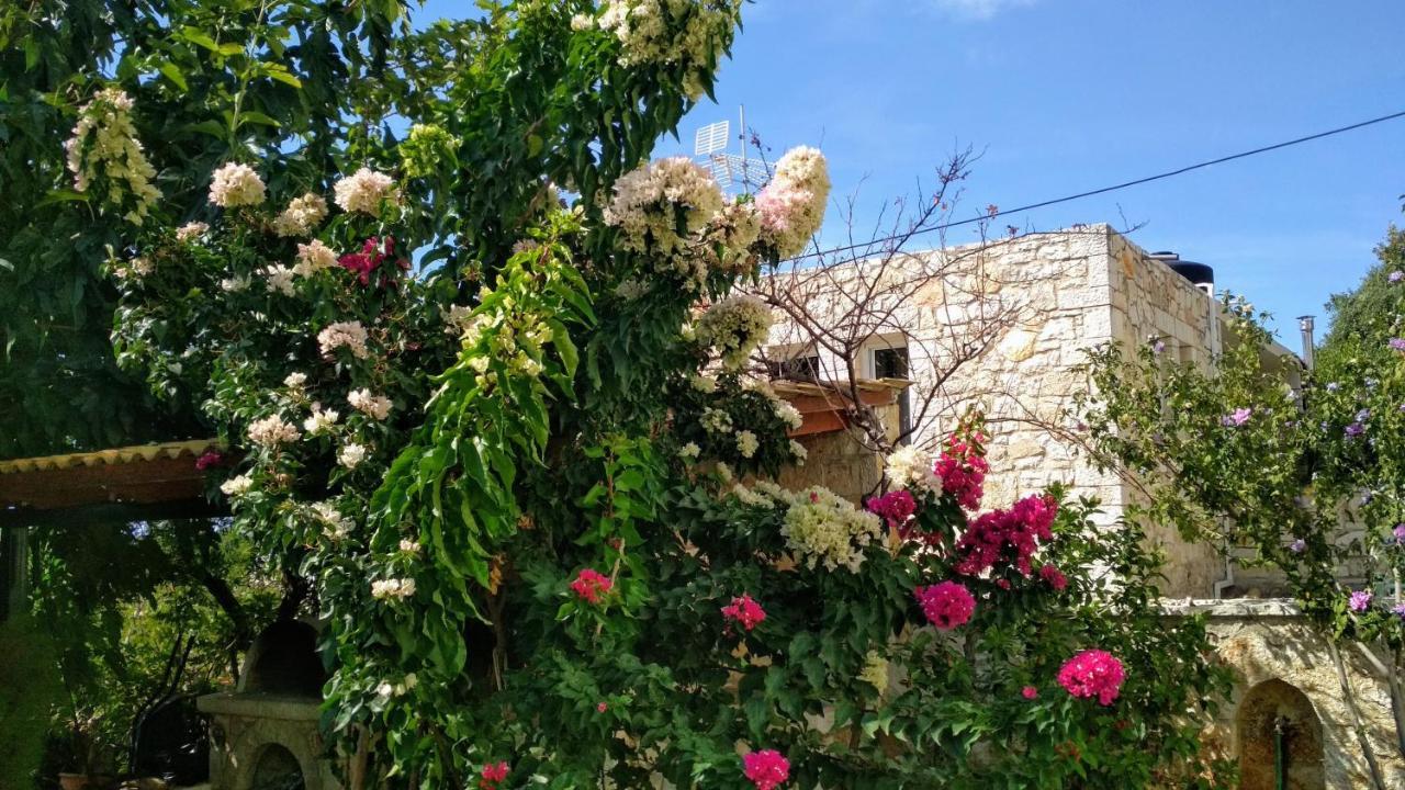 Villa Vera Szívota Kültér fotó